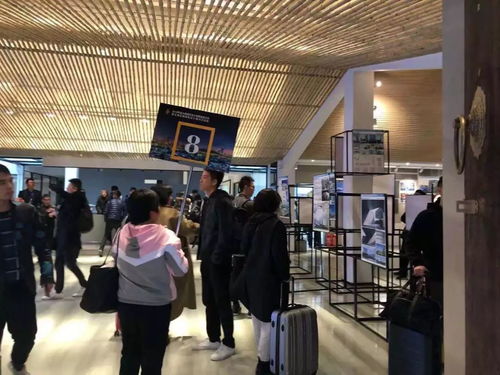 文投會務(wù)丨2019年度全國建筑設(shè)計創(chuàng)新創(chuàng)優(yōu)大會暨全國優(yōu)秀建筑設(shè)計展示交流會后勤保障工作圓滿完成